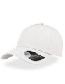 AT528_White
