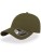 AT670_Olive