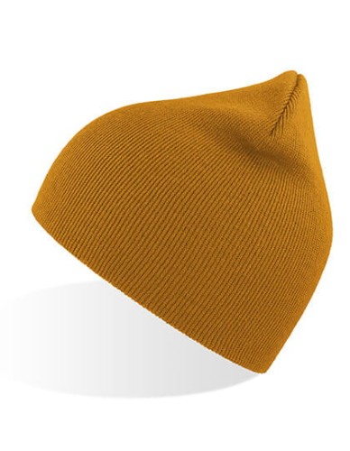 AT798_Mustard