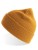 AT804_Mustard