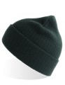 AT804_Bottle-Green