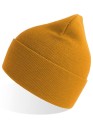 AT805_Mustard
