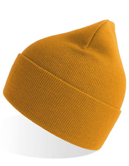 AT805_Mustard