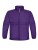 BCJK950_Purple