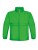 BCJK950_Real-Green