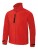 BCJM951_Deep-Red