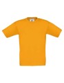 BCTK300_Apricot