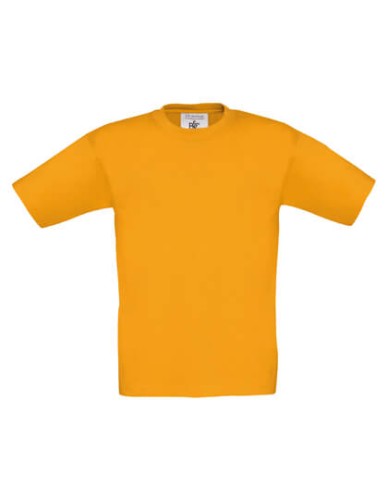BCTK300_Apricot