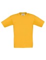 BCTK300_Gold