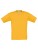 BCTK300_Gold