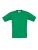 BCTK300_Kelly-Green