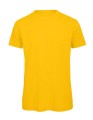 BCTM042_Gold