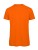 BCTM042_Orange