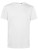 BCTU01B_White