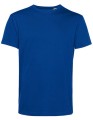 BCTU01B_Royal