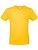 BCTU01T_Gold