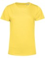 BCTW02B_Yellow-Fizz