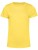 BCTW02B_Yellow-Fizz