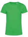 BCTW02B_Apple-Green