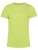 BCTW02B_Lime