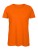 BCTW043_Orange