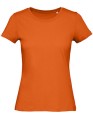 BCTW043_Urban-Orange