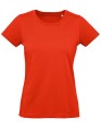 BCTW049_Fire-Red