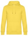 BCWU02K_Yellow-Fizz