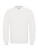 BCWUI20_White