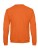 BCWUI23_Pumpkin-Orange