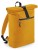 BG286_Mustard