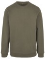 BYBB003_Olive