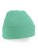 CB45_Mint-Green
