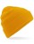 CB50_Mustard
