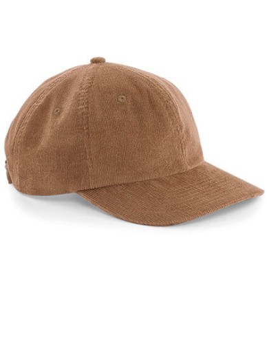 CB682_Camel