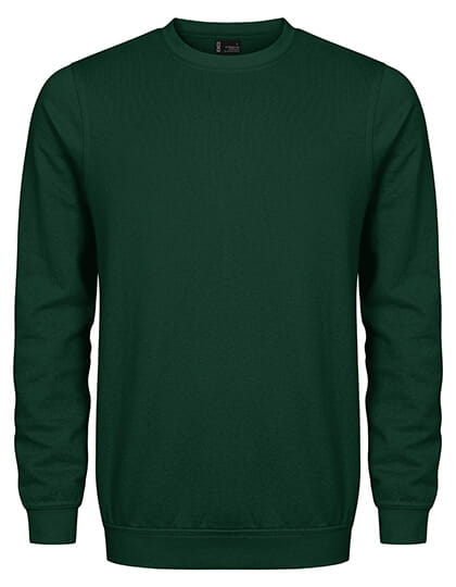 CD5077_Forest