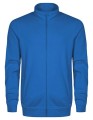 CD5270_Cobalt-Blue