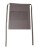 CGW1262_Griffin