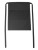 CGW1262_Raven