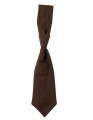 CGW1360_Toffee