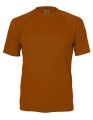 CN100_Choco