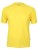 CN100_Sun-Yellow