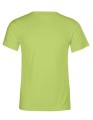 E3520_Green-Gecko