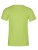 E3520_Green-Gecko