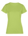 E3521_Green-Gecko