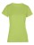 E3521_Green-Gecko
