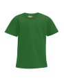 E399_Kelly-Green