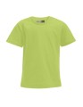 E399_Wild-Lime