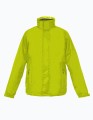 E7548_Lime