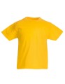 F110K_Sunflower
